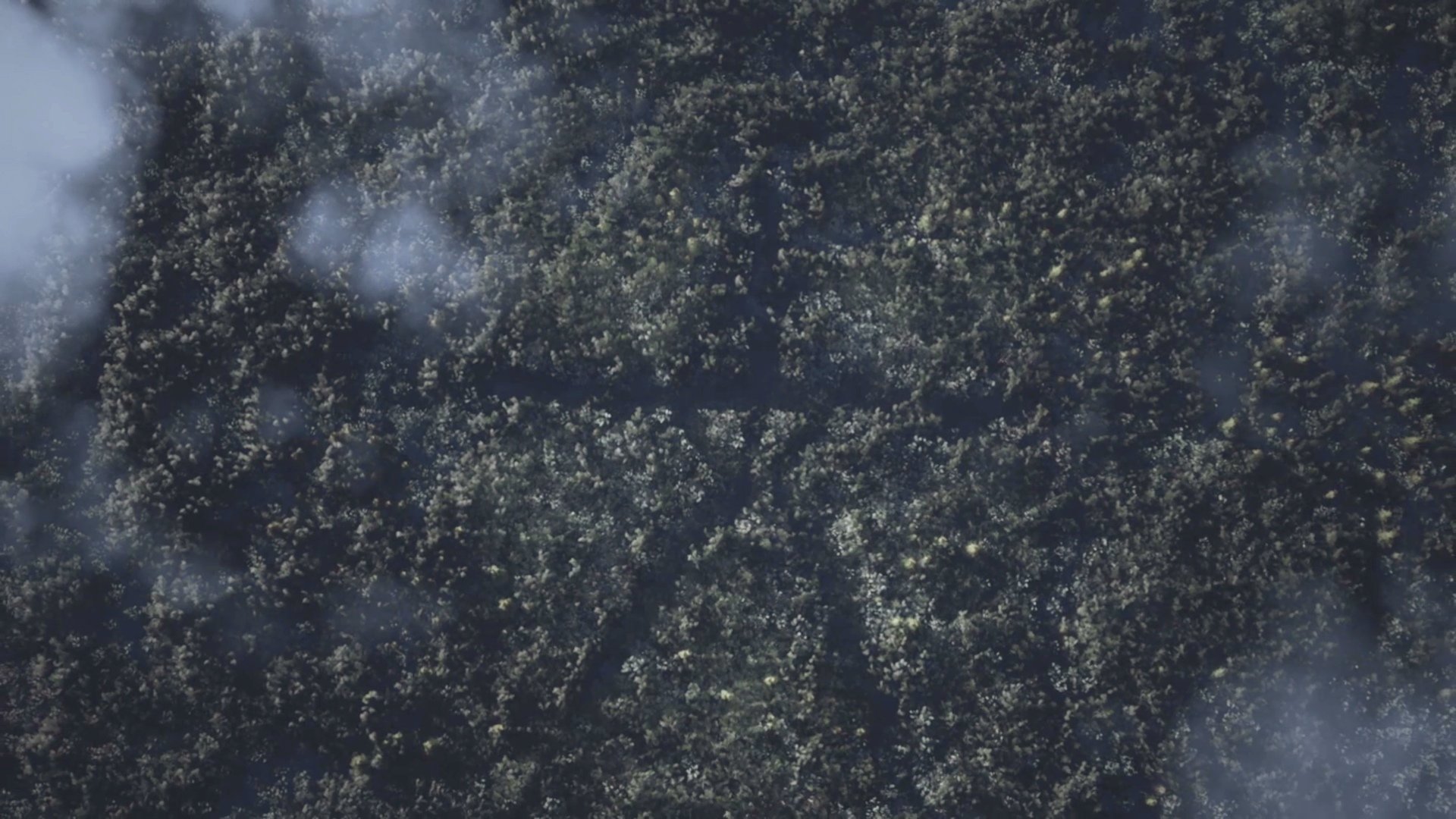 Blair Witch - Imagen 11